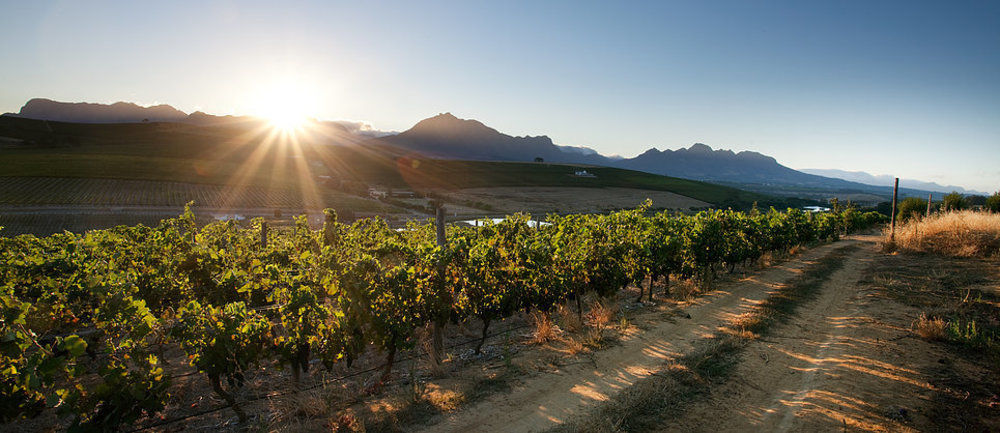 Hotel Brenaissance Wine & Stud Estate Stellenbosch